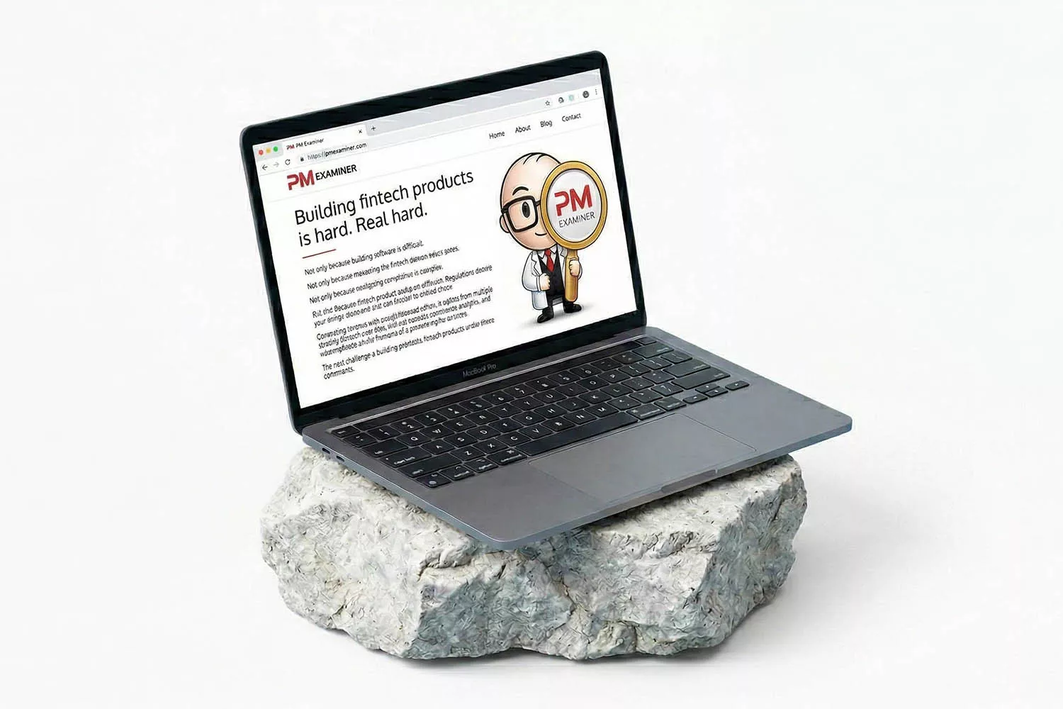 PM Examiner publishing platform