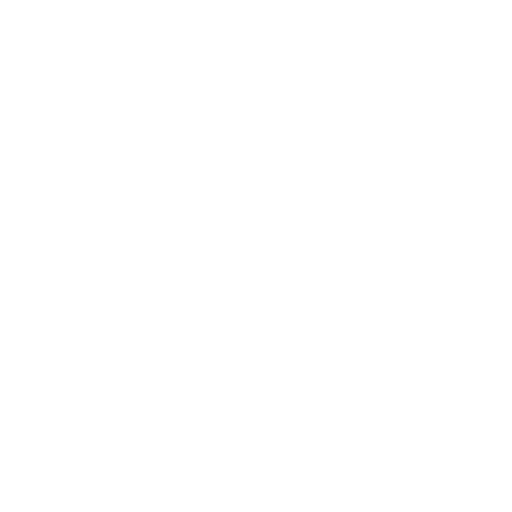Global digital platform services
